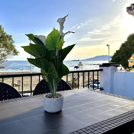 Ansa - El Palo Malaga